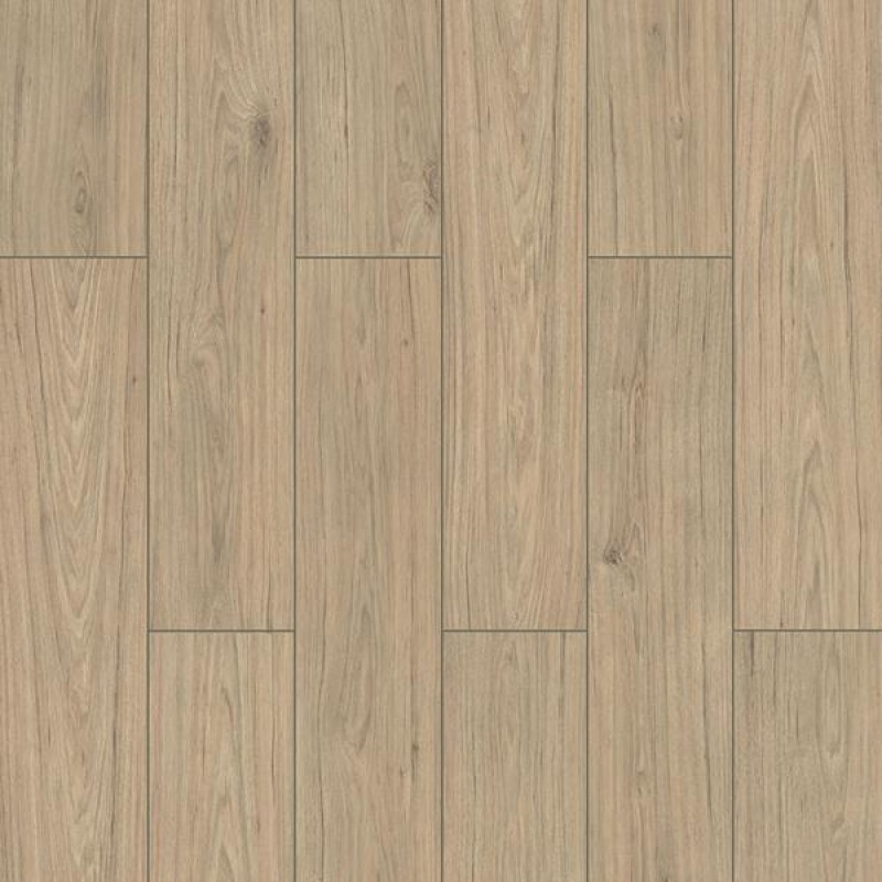 ΔΑΠΕΔΟ LAMINATE  WINGS  4V 8mm 003 HAWK NewPlan