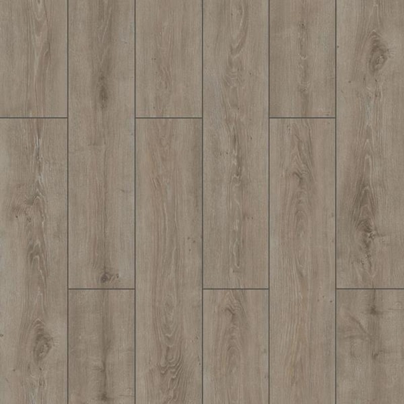 ΔΑΠΕΔΟ LAMINATE WINGS 4V 8mm 007 PARROT NewPlan ΔΑΠΕΔΟ LAMINATE WINGS 4V 8mm 007 PARROT NewPlan