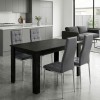 Σετ τραπεζαρία 5τμχ Darlen - Rosa Megapap χρώμα sencron black - γκρι/χρωμίου πόδι 125x72x74εκ.