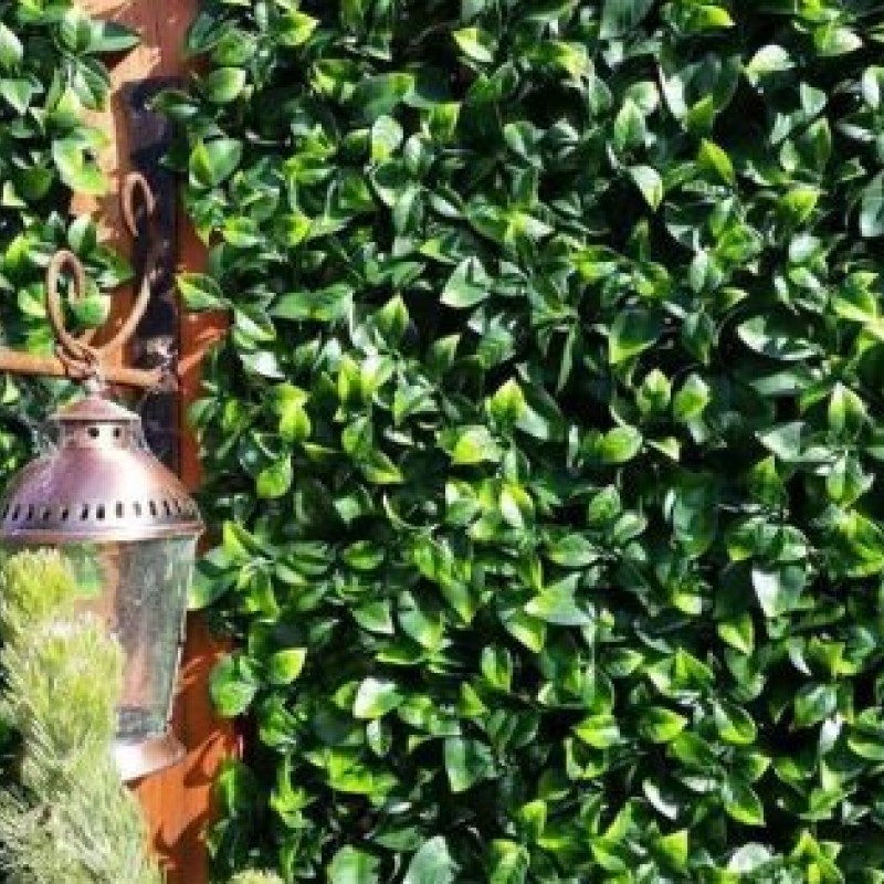 ΠΑΝΕΛ ΦΥΛΛΩΣΙΑΣ BERLIN 50 Χ 50 A017 PHOTINIA NewPlan