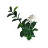 ΠΑΝΕΛ ΦΥΛΛΩΣΙΑΣ PORTO 50 Χ 50 A040 GENTLE JUNGLE NewPlan
