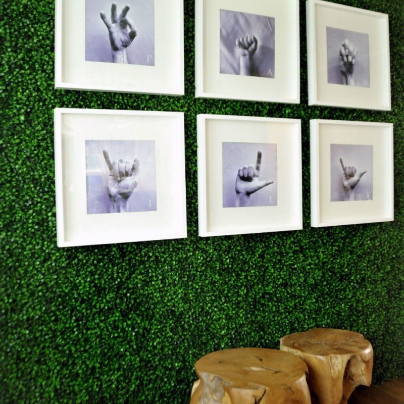 ΠΑΝΕΛ ΦΥΛΛΩΣΙΑΣ BERLIN 50 Χ 50 A146 BOXWOOD NewPlan