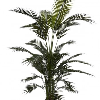 PALM TREE  NP160_210_UV  ΥΨΟΣ 210cm NewPlan