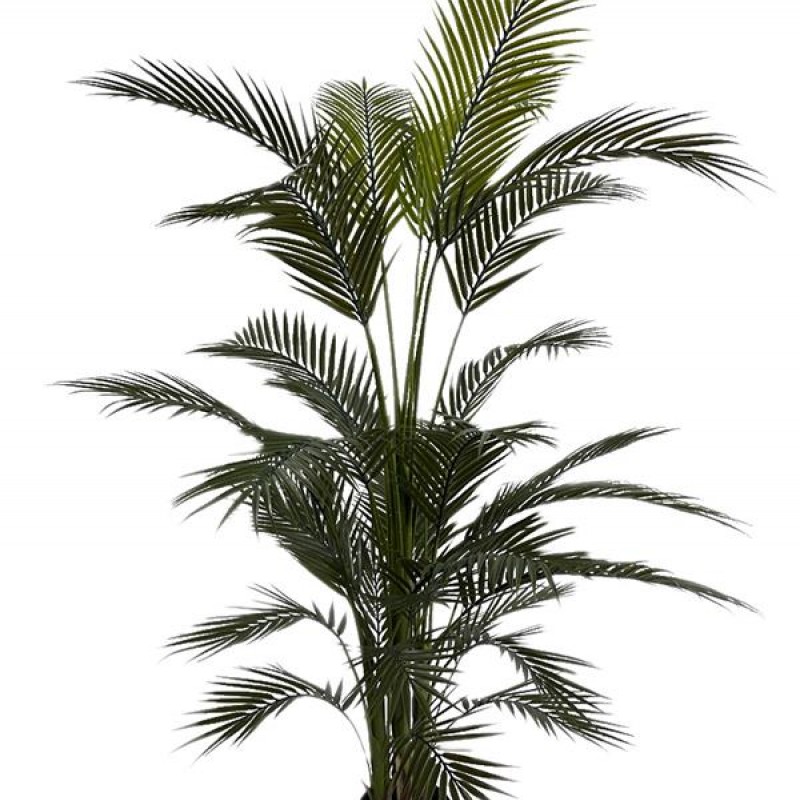 PALM TREE  NP160_210_UV  ΥΨΟΣ 210cm NewPlan