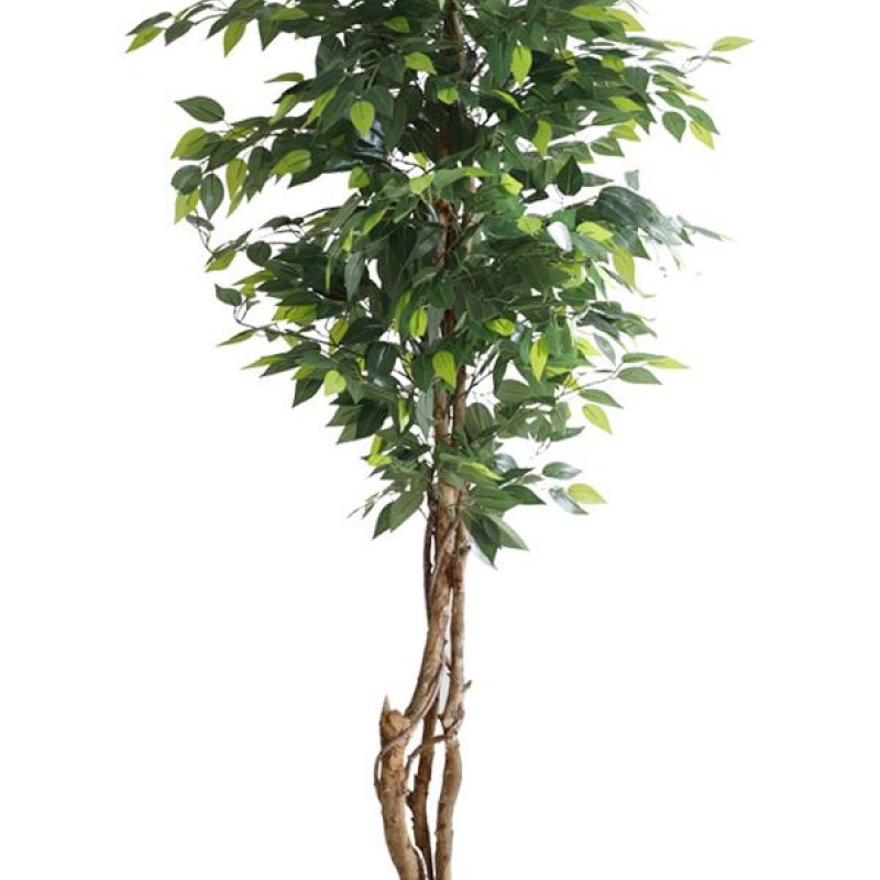 FICUS TREE NP5208_150   ΥΨΟΣ 150cm NewPlan