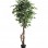 FICUS TREE NP5209_180  ΥΨΟΣ 180cm NewPlan