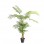 PALM TREE  NP5502_180_22   ΥΨΟΣ 180cm NewPlan