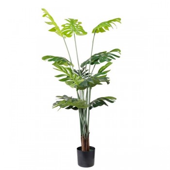 MONSTERA  NP6314_155_22   ΥΨΟΣ 155cm NewPlan