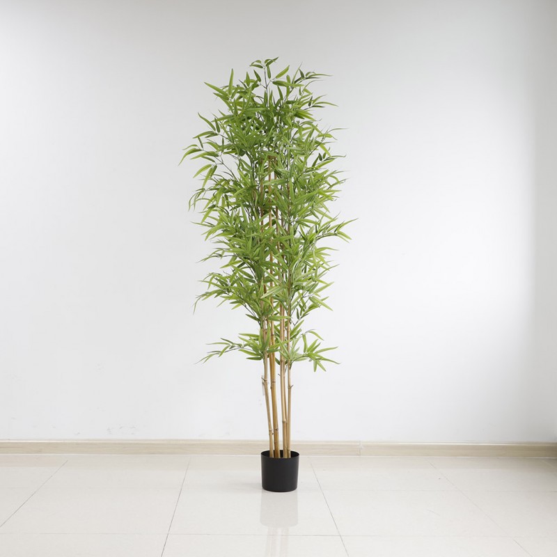 BAMBOO  NP6321_180_22  ΥΨΟΣ 180cm NewPlan