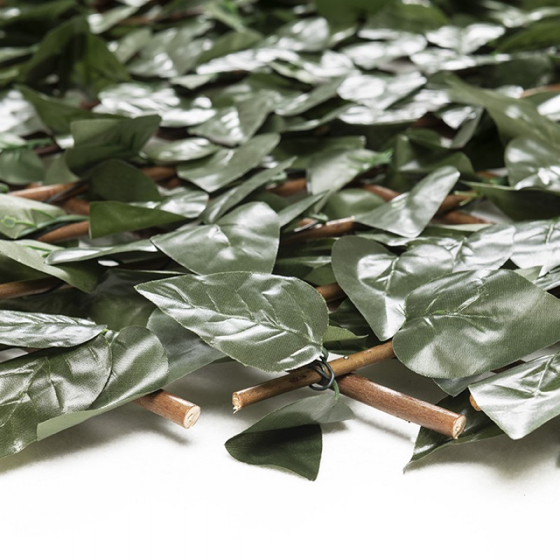 ΠΤΥΣΣΟΜΕΝΗ ΠΕΡΓΚΟΛΑ ORLANDO 100 Χ 200 MZ186001Α NewPlan