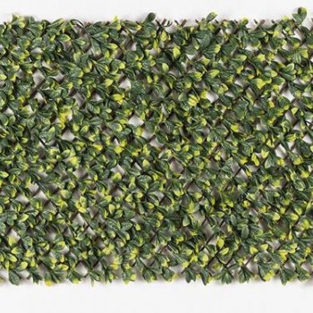 ΠΤΥΣΣΟΜΕΝΗ ΠΕΡΓΚΟΛΑ MIAMI 100 Χ 200 MZ186006A NewPlan