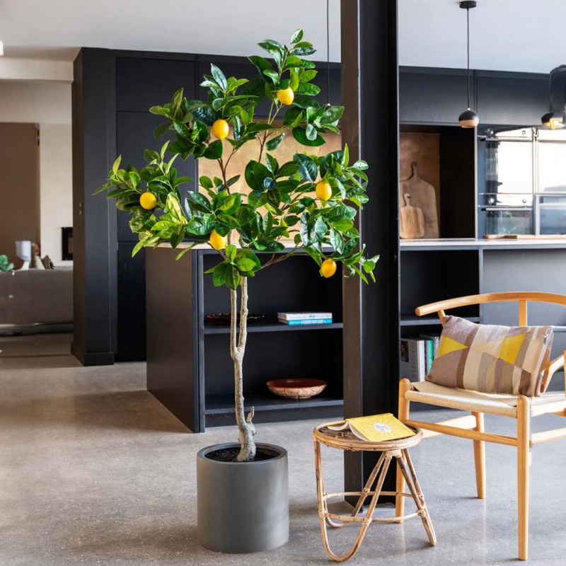 LEMON TREE  NP_30_170  ΥΨΟΣ 170cm NewPlan