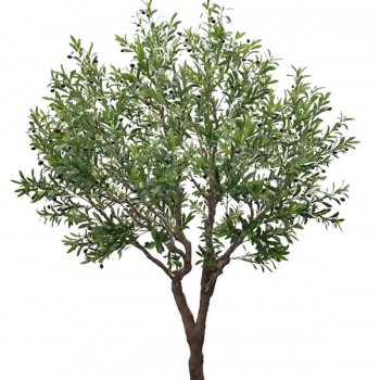 OLIVE TREE NP496_240_UV ΥΨΟΣ 240cm NewPlan