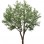 OLIVE TREE NP496_240_UV ΥΨΟΣ 240cm NewPlan