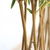 BAMBOO IN POT NP827_180_UV  ΥΨΟΣ 180cm NewPlan