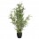 Φυτό σε γλάστρα Green10 pakoworld 63x55x90εκ