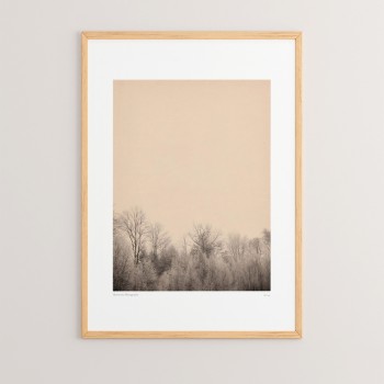 Πίνακας Quany pakoworld με ψηφιακή εκτύπωση και πλαίσιο 33x1.5x48εκ