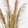 Διακοσμητικό φυτό σε γλάστρα Bulrush Inart  Φ65x120εκ