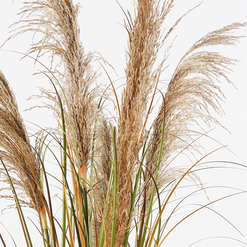 Διακοσμητικό φυτό σε γλάστρα Bulrush Inart  Φ65x120εκ