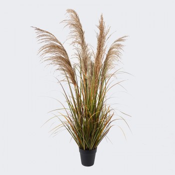 Διακοσμητικό φυτό σε γλάστρα Bulrush Inart  Φ65x120εκ