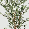 Διακοσμητικό φυτό σε γλάστρα Olia Inart πράσινο 65x55x180εκ