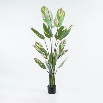 Διακοσμητικό φυτό σε γλάστρα Aglaonema Inart πράσινο Φ80x150εκ