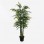 Διακοσμητικό φυτό σε γλάστρα Arti Bamboo Inart πράσινο Φ70x150εκ