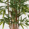 Διακοσμητικό φυτό σε γλάστρα Rhapis Palm Inart πράσινο Φ80x180εκ