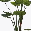 Διακοσμητικό φυτό σε γλάστρα Taro Plant Inart πράσινο Φ90x180εκ