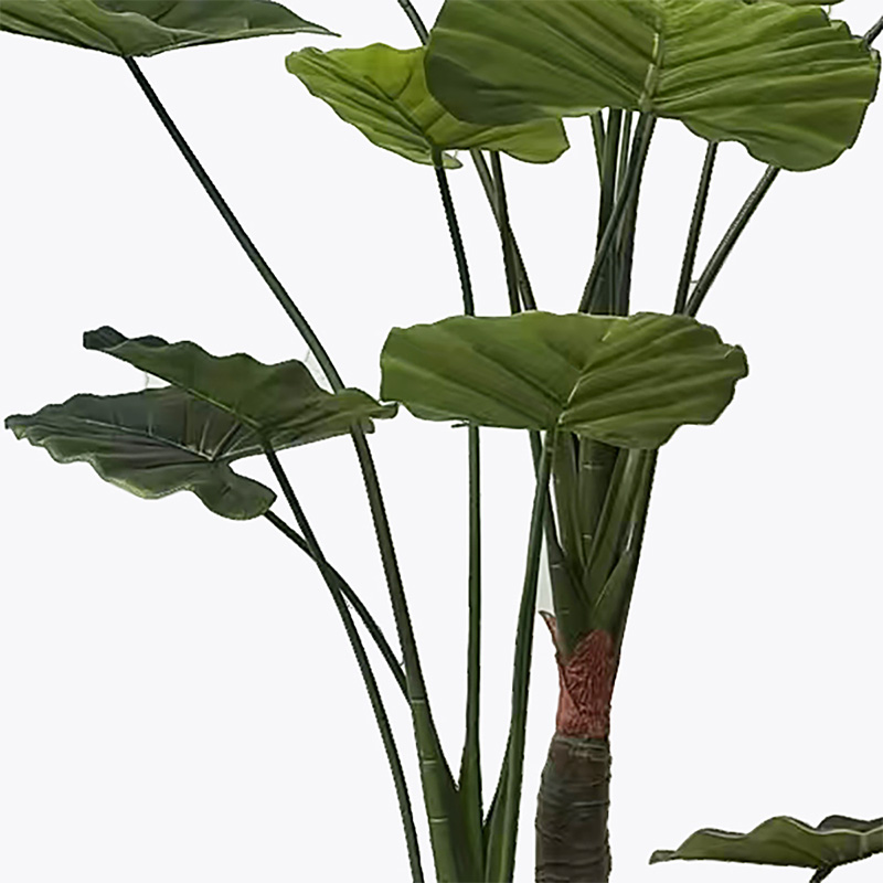Διακοσμητικό φυτό σε γλάστρα Taro Plant Inart πράσινο Φ90x180εκ