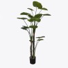 Διακοσμητικό φυτό σε γλάστρα Taro Plant Inart πράσινο Φ90x180εκ