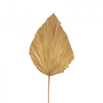 Διακοσμητικό φύλλο Walsy Inart palm leaf σε φυσική απόχρωση Υ135 εκ