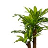 Διακοσμητικό φυτό Dracaena σε γλάστρα Inart πράσινο pp Υ110εκ