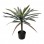 Διακοσμητικό φυτό Dracaena palm σε γλάστρα Inart πράσινο pp Υ62εκ