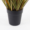 Διακοσμητικό φυτό σε γλάστρα Bulrush Inart Φ65x120εκ