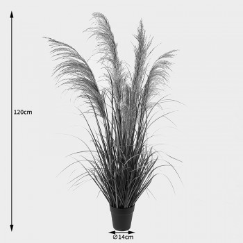 Διακοσμητικό φυτό σε γλάστρα Bulrush Inart Φ65x120εκ