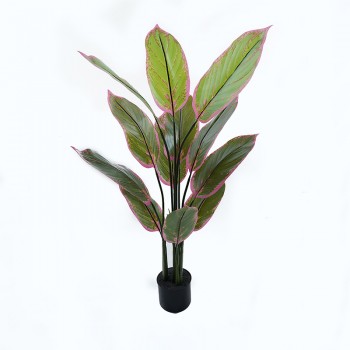 Διακοσμητικό φυτό σε γλάστρα Calathea Inart πράσινο Φ68x120εκ