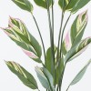 Διακοσμητικό φυτό σε γλάστρα Aglaonema Inart πράσινο Φ80x150εκ