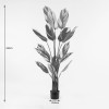 Διακοσμητικό φυτό σε γλάστρα Aglaonema Inart πράσινο Φ80x150εκ
