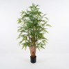 Διακοσμητικό φυτό σε γλάστρα Rhapis Palm Inart πράσινο Φ60x120εκ