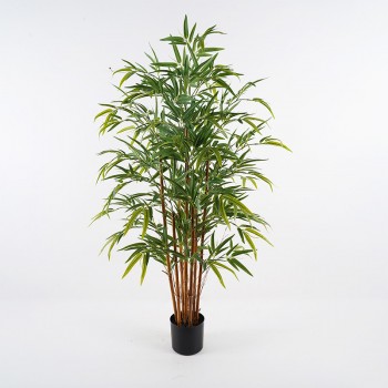 Διακοσμητικό φυτό σε γλάστρα Rhapis Palm Inart πράσινο Φ60x120εκ