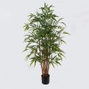 Διακοσμητικό φυτό σε γλάστρα Rhapis Palm Inart πράσινο Φ80x180εκ