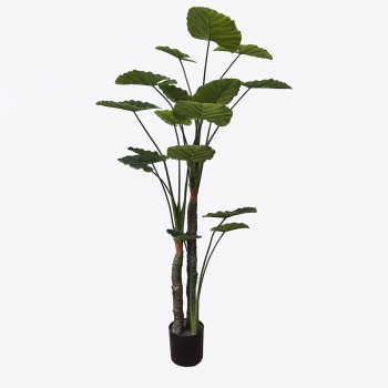 Διακοσμητικό φυτό σε γλάστρα Taro Plant Inart πράσινο Φ90x180εκ