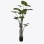 Διακοσμητικό φυτό σε γλάστρα Taro Plant Inart πράσινο Φ90x180εκ