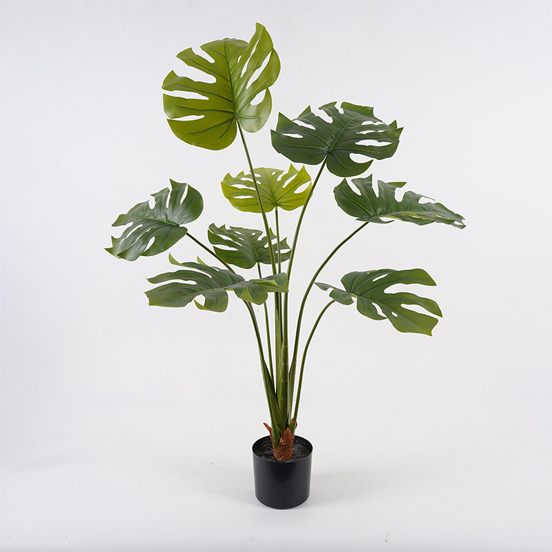 Διακοσμητικό φυτό σε γλάστρα Deliciosa Inart πράσινο Φ94x120εκ