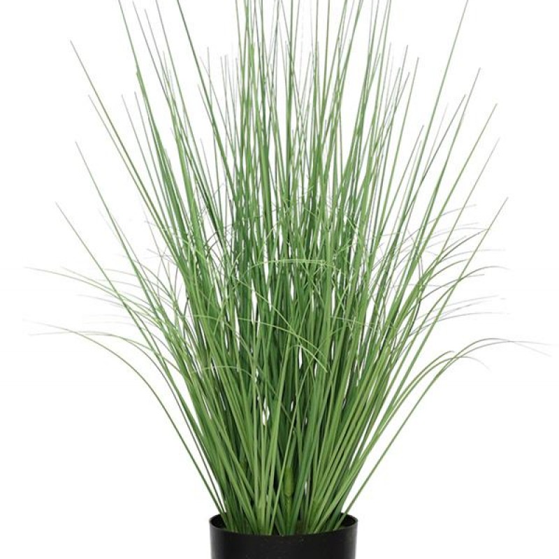 ONION GRASS TREE  NP1009_60 ΥΨΟΣ 60cm NewPlan