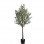 OLIVE TREE NP439_150  ΥΨΟΣ 150cm NewPlan
