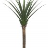 AGAVE TREE  NP802_160  ΥΨΟΣ 160cm NewPlan