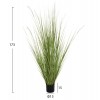 ΔΙΑΚΟΣΜΗΤΙΚΟ ΣΥΝΘΕΤΙΚΟ ΦΥΤΟ HM4017 BRISTLEGRASS ΣΕ ΓΛΑΣΤΡΑ 173Υεκ.