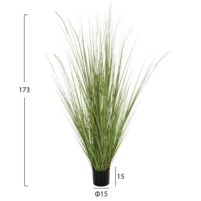 ΔΙΑΚΟΣΜΗΤΙΚΟ ΣΥΝΘΕΤΙΚΟ ΦΥΤΟ HM4017 BRISTLEGRASS ΣΕ ΓΛΑΣΤΡΑ 173Υεκ.